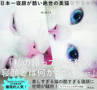 Illustration for article titled The Cat with the "Ugliest Sleeping Face in Japan"